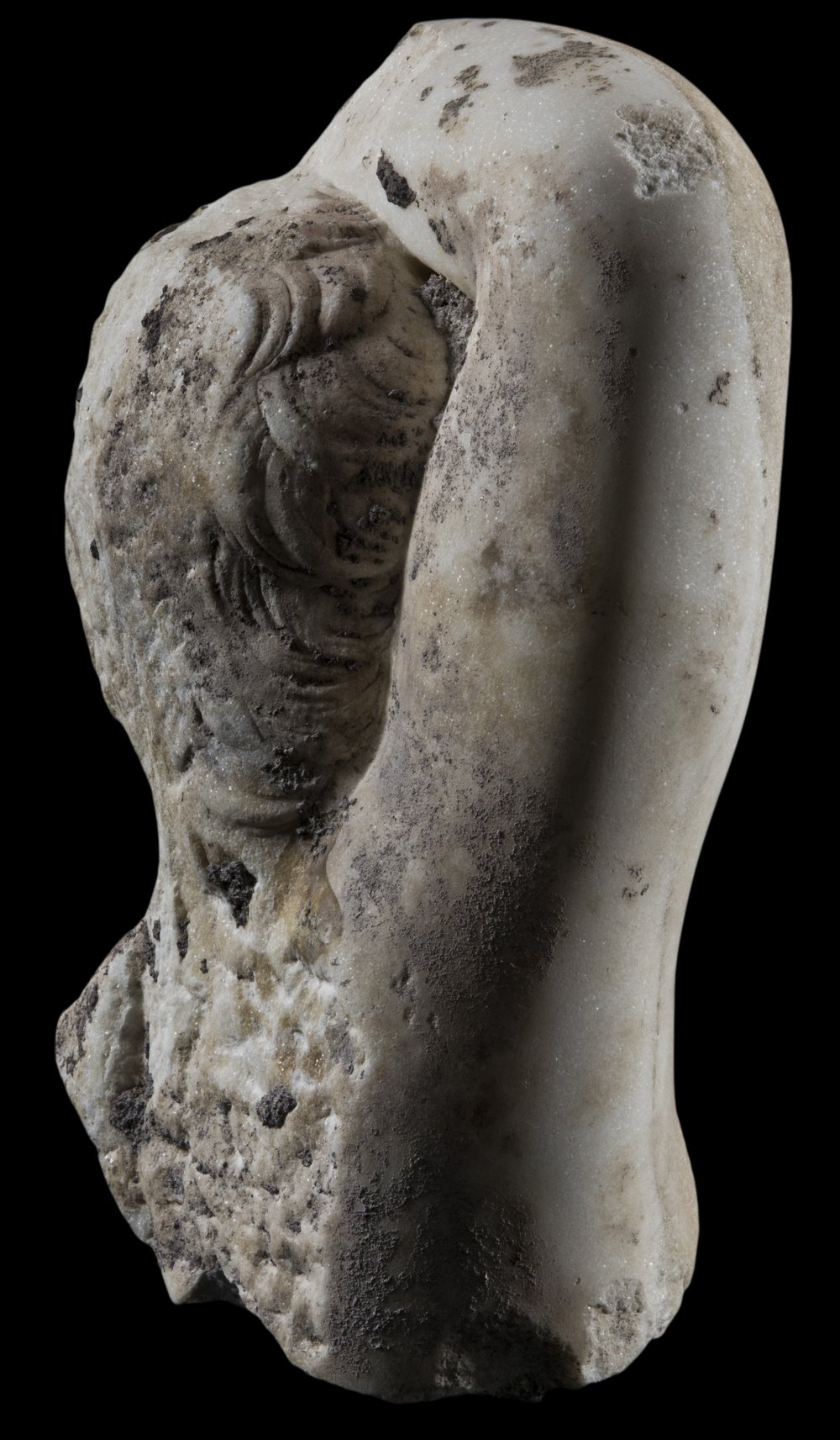 Inv 43042_03.jpg