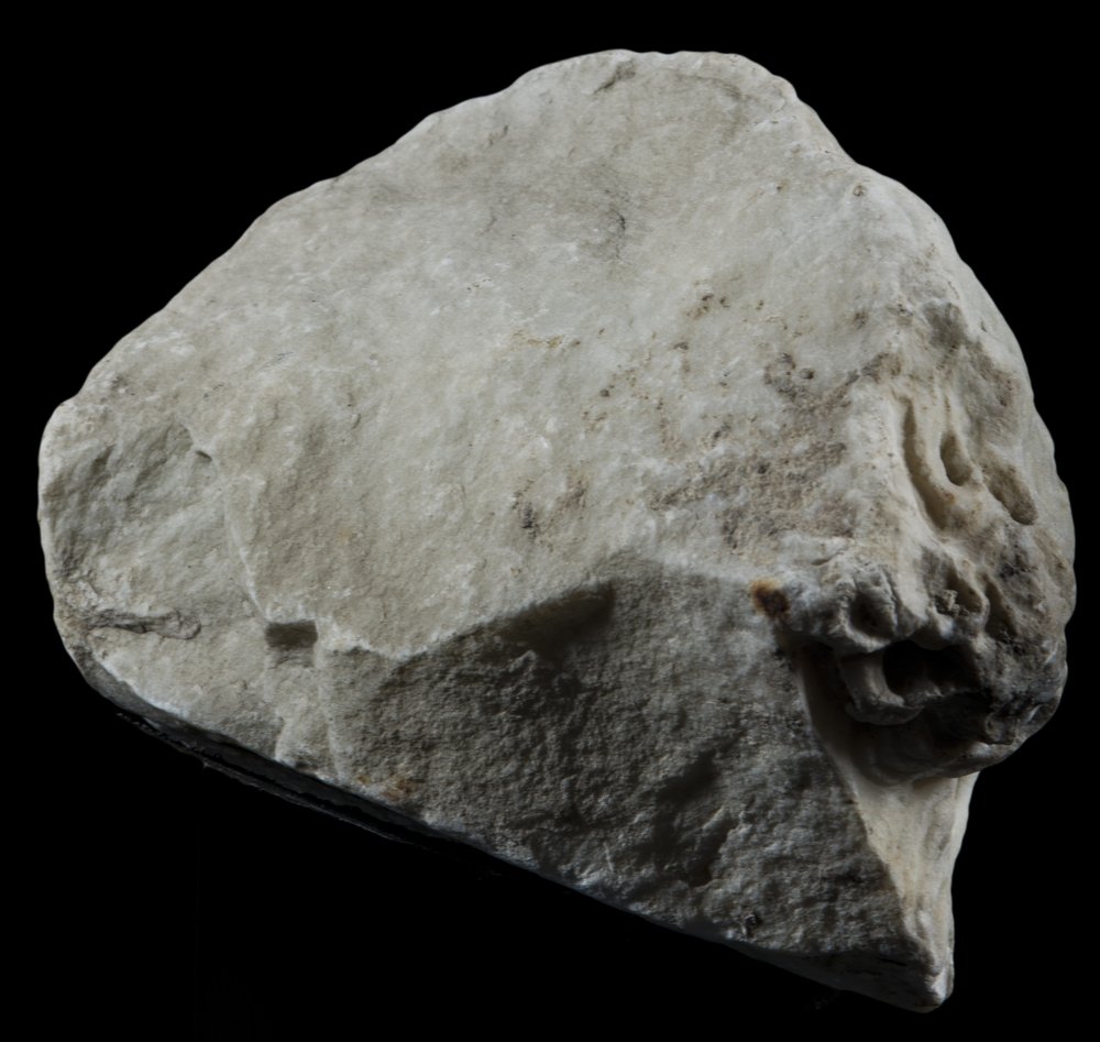 Inv 381816_00.jpg