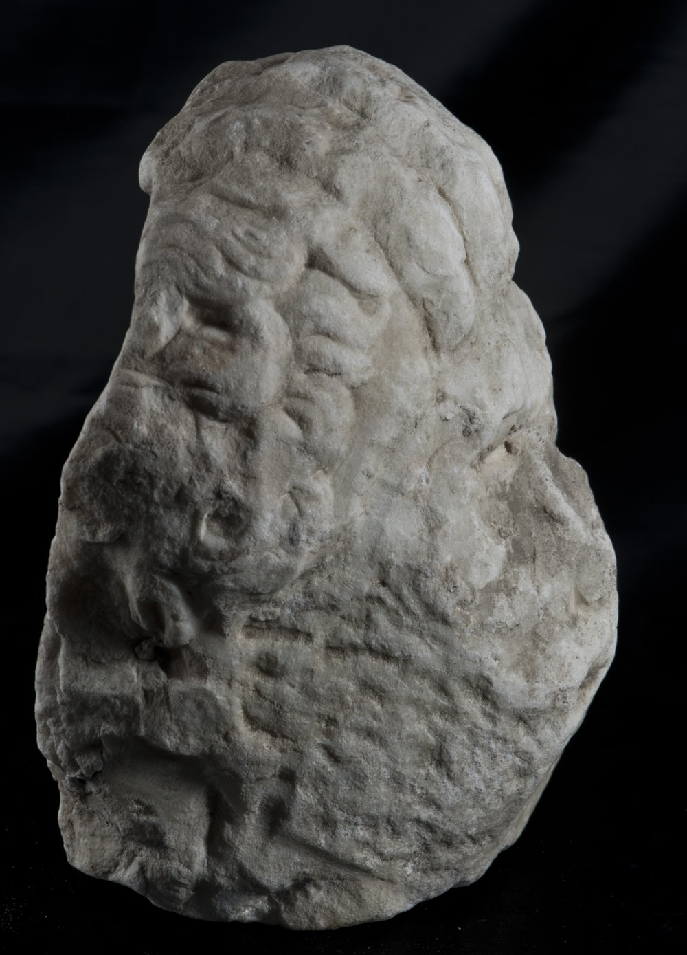 Inv 486519_04.jpg