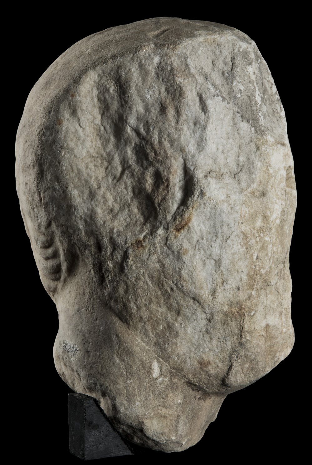 Inv 486526_05.jpg