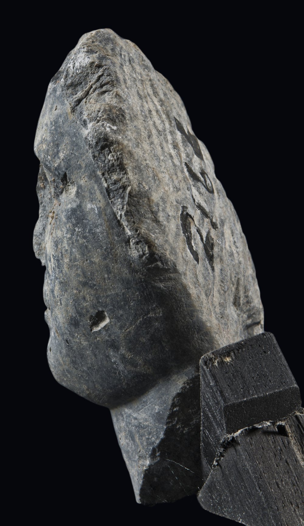 Inv 52791_04.jpg