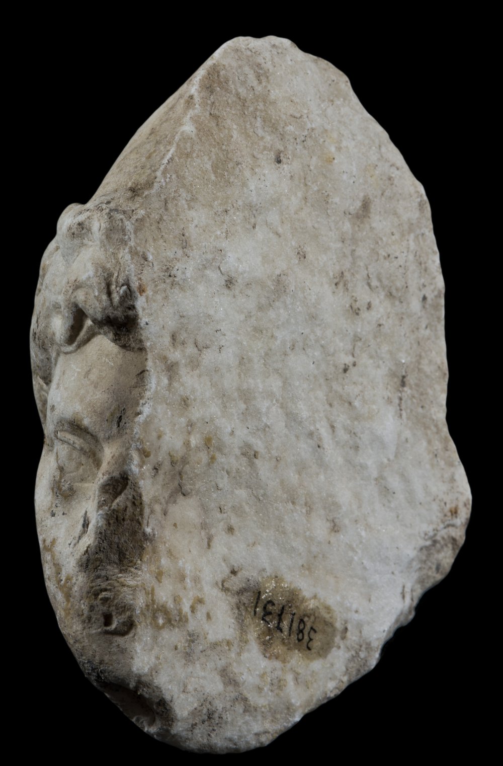 Inv 381731_06.jpg