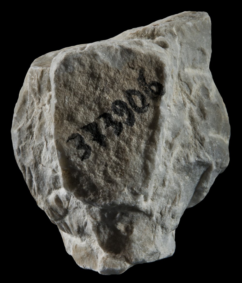 Inv 373906_03.jpg