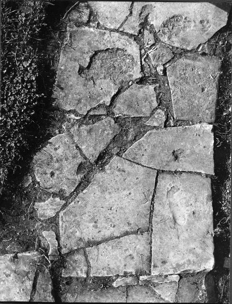 012536 - monumento - Casa delle Vestali, Atrio, ottagono centrale, bollo di Domizio Rufo (?)(CIL XV 1588a) su tegolone (settembre 1966); neg. serie 6x6, n. 1198
