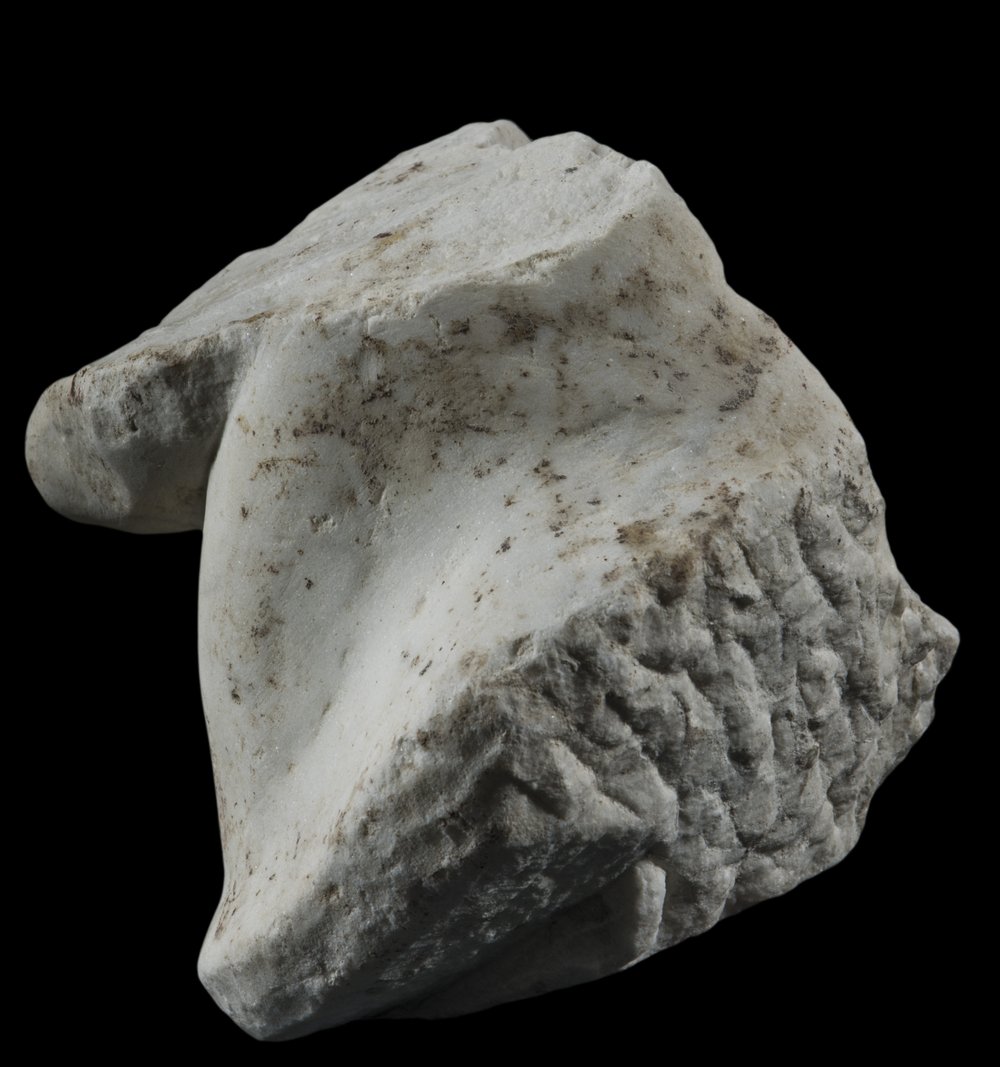Inv 381657_04.jpg
