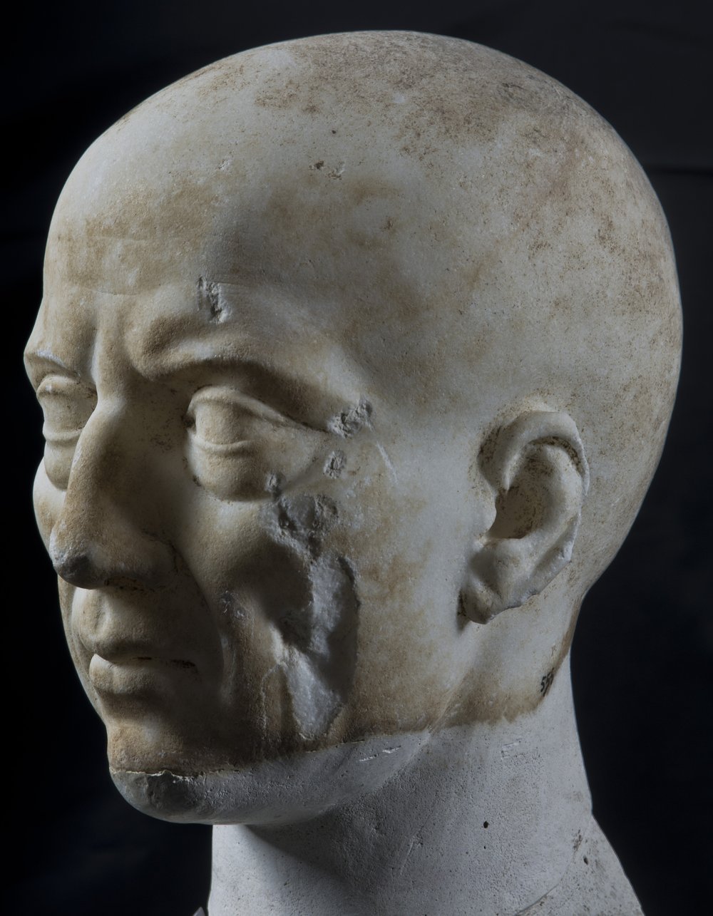 Inv 555_06.jpg