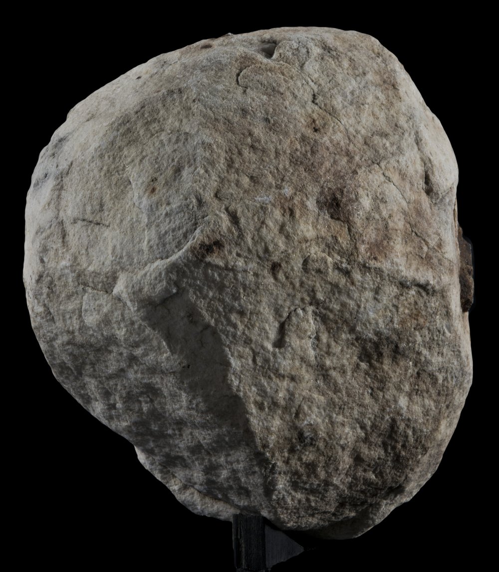 Inv 486720_05.jpg