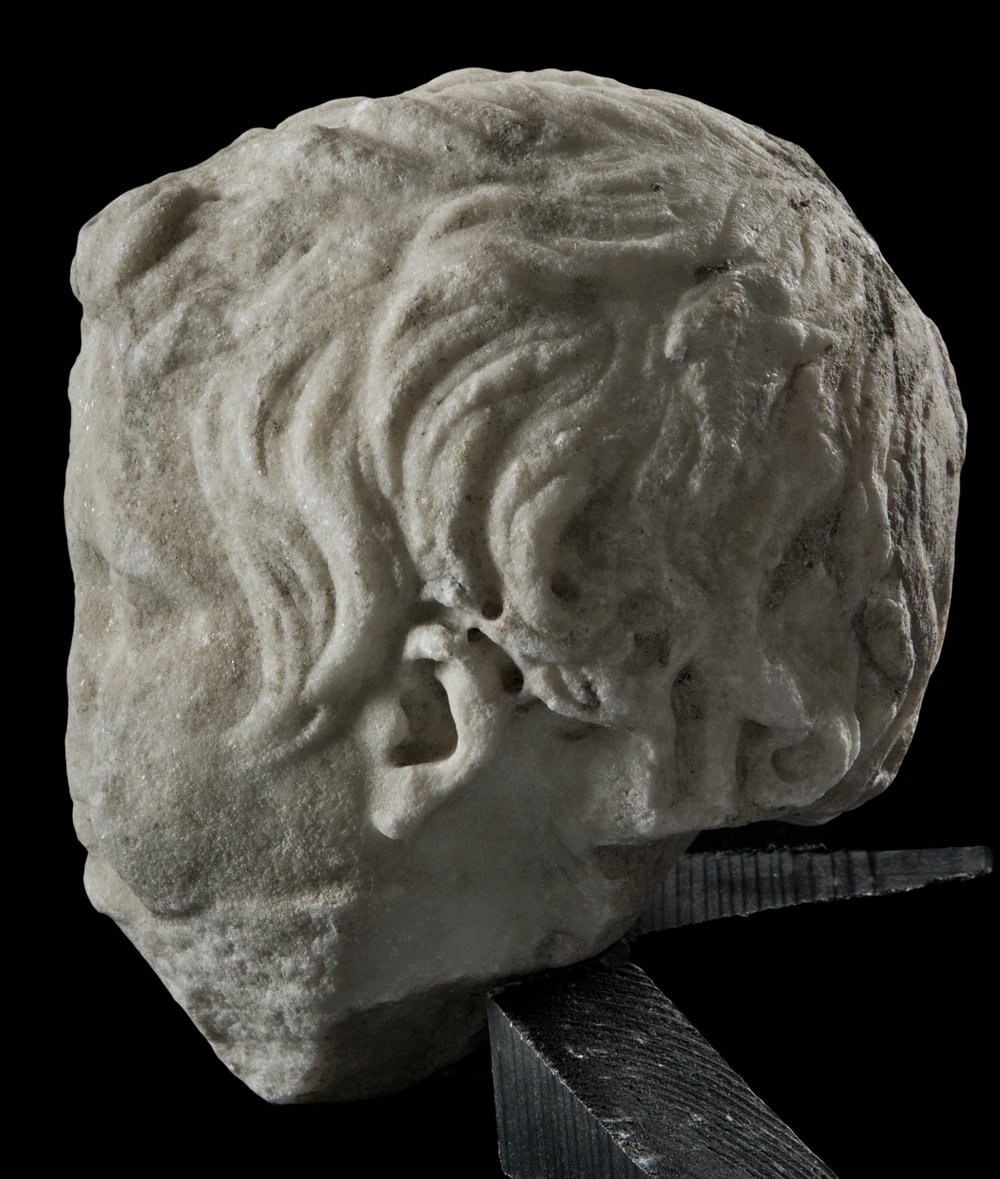 Inv 373620_05.jpg