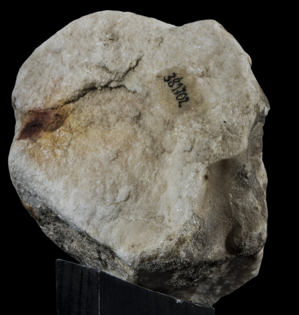 Inv 381702_01.jpg