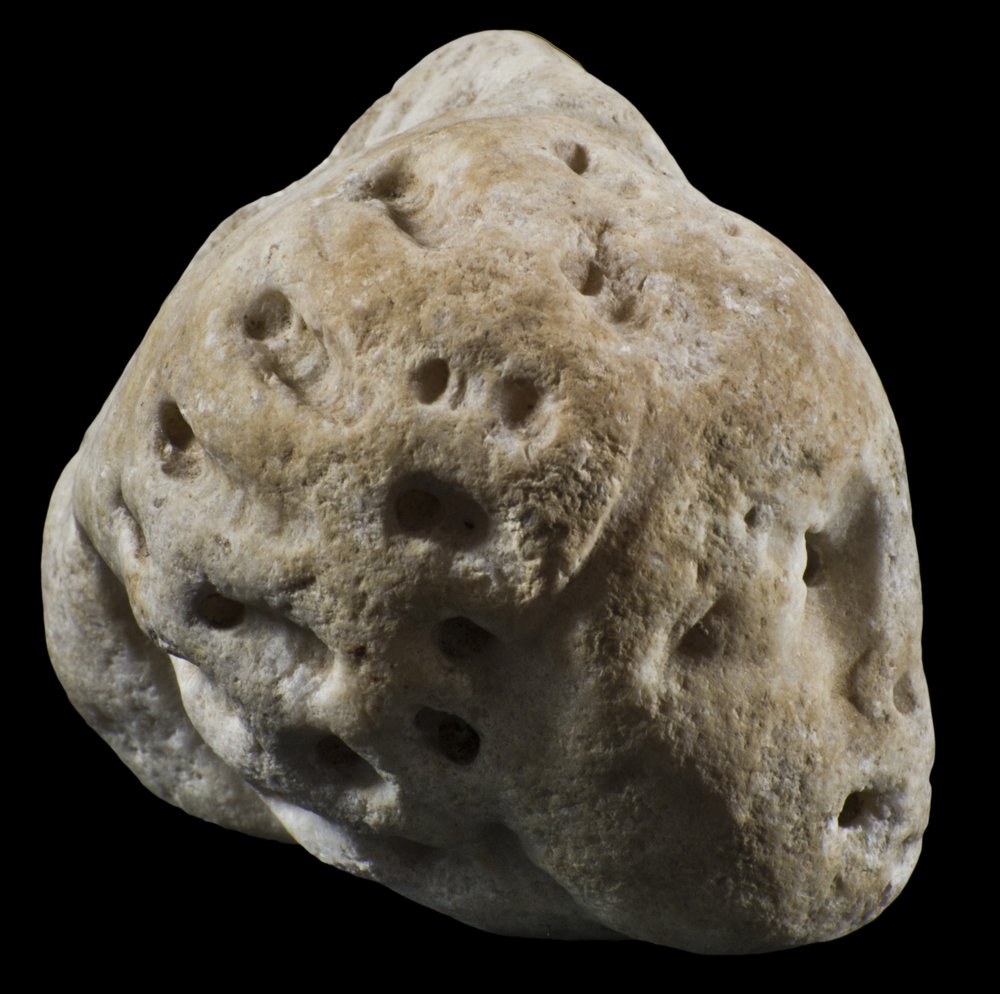 Inv 55120_02.jpg