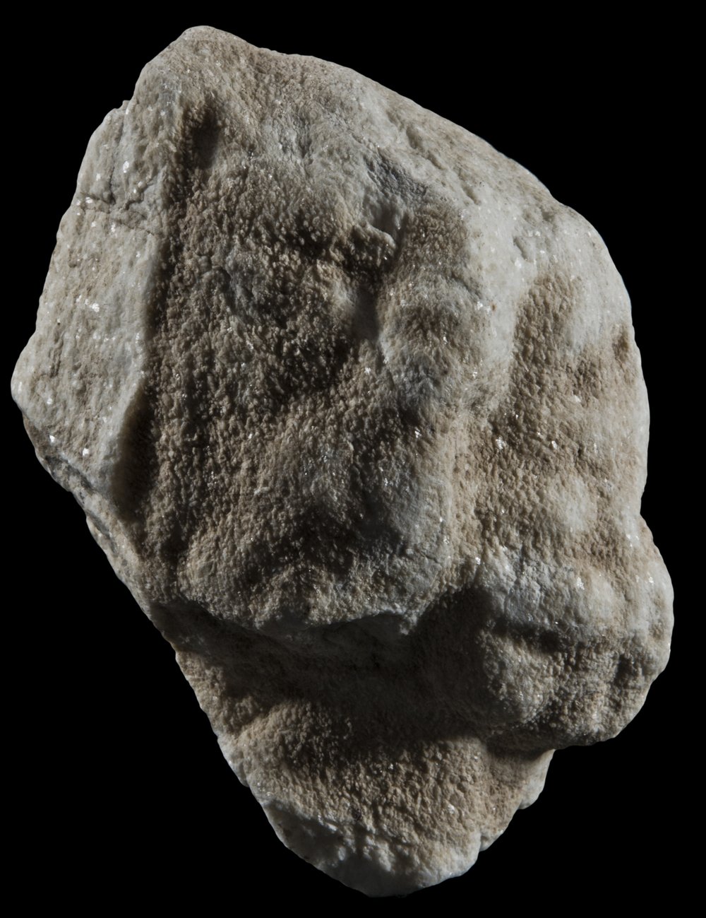 Inv 52637_03.jpg
