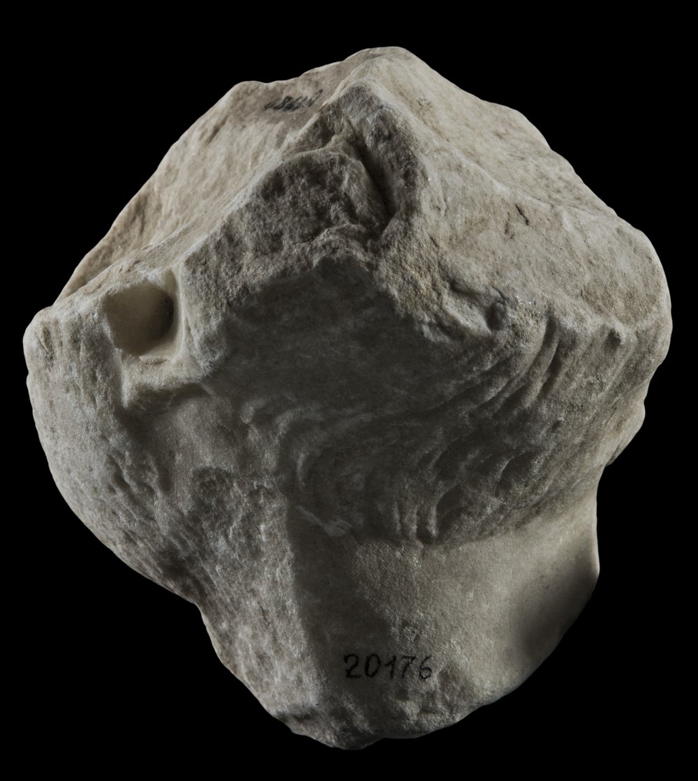Inv 486482_03.jpg