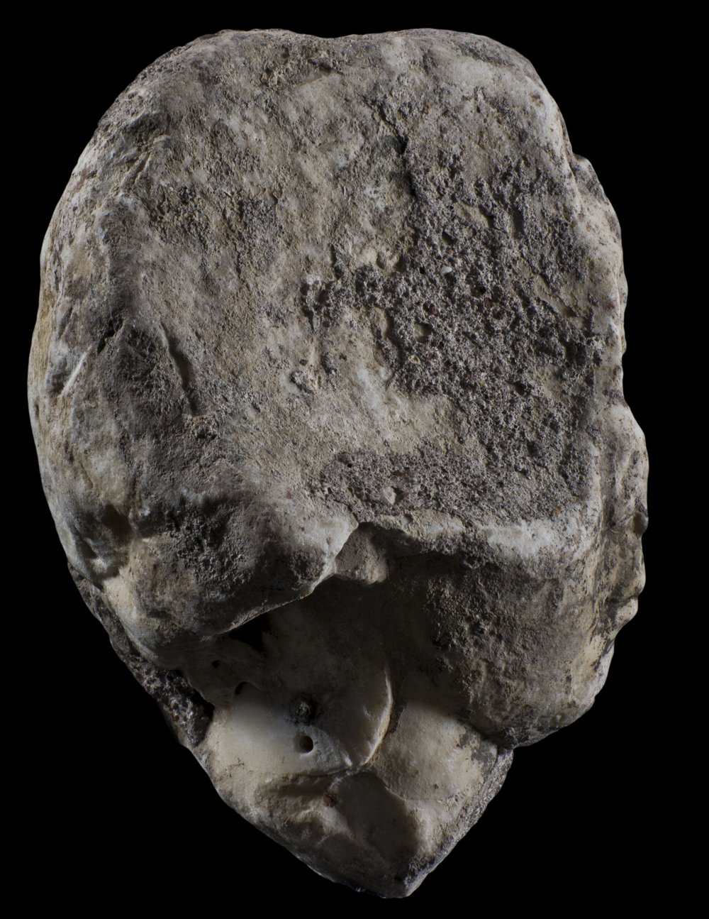 Inv 52777_02.jpg