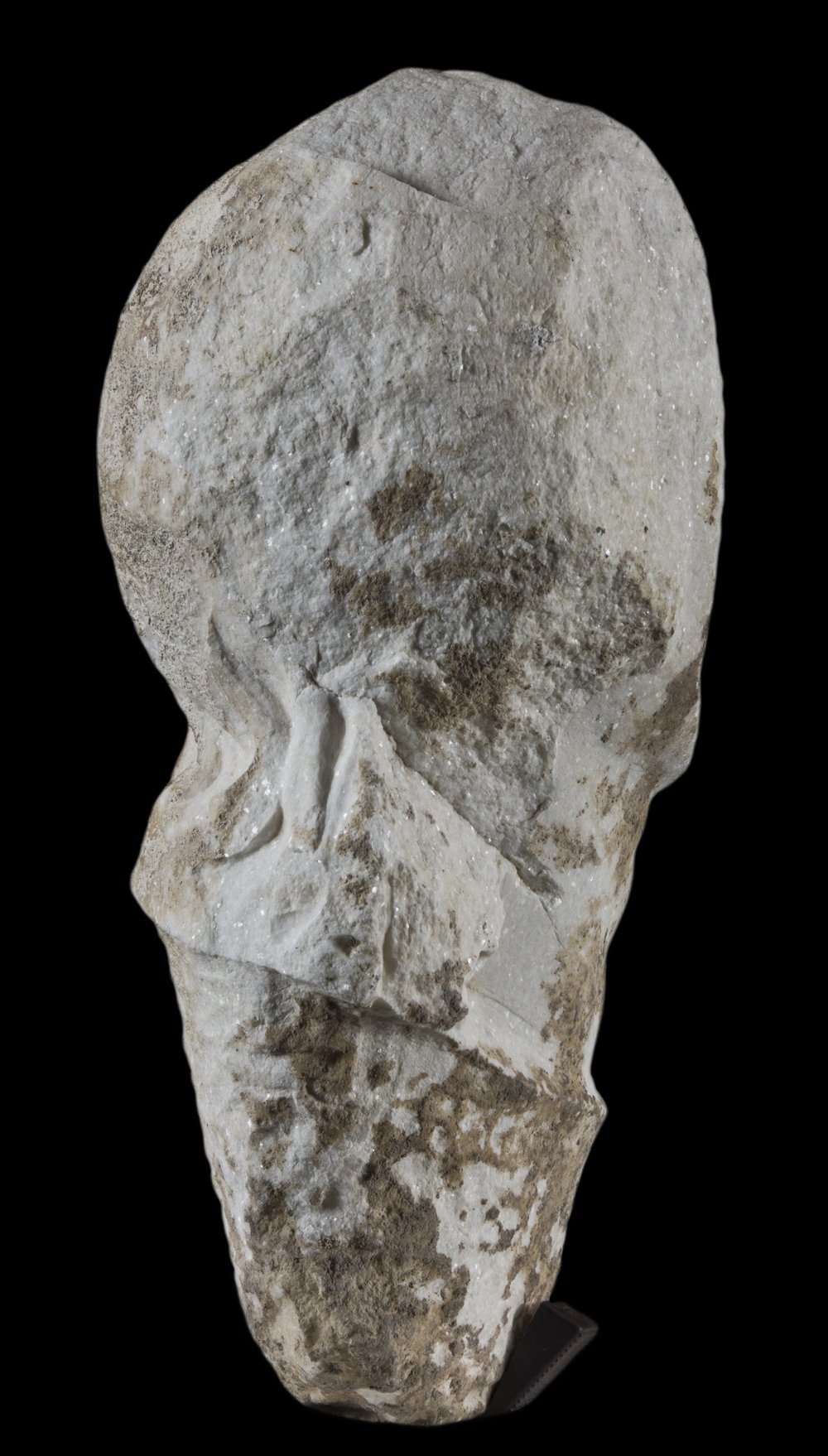 Inv 381587_02.jpg