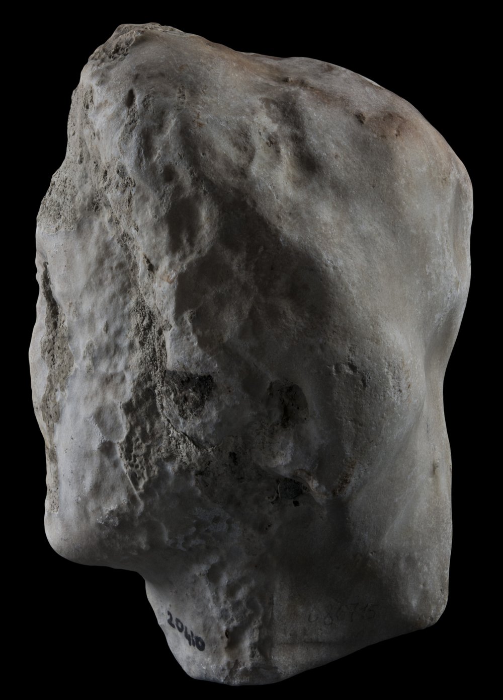 Inv 486715_05.jpg