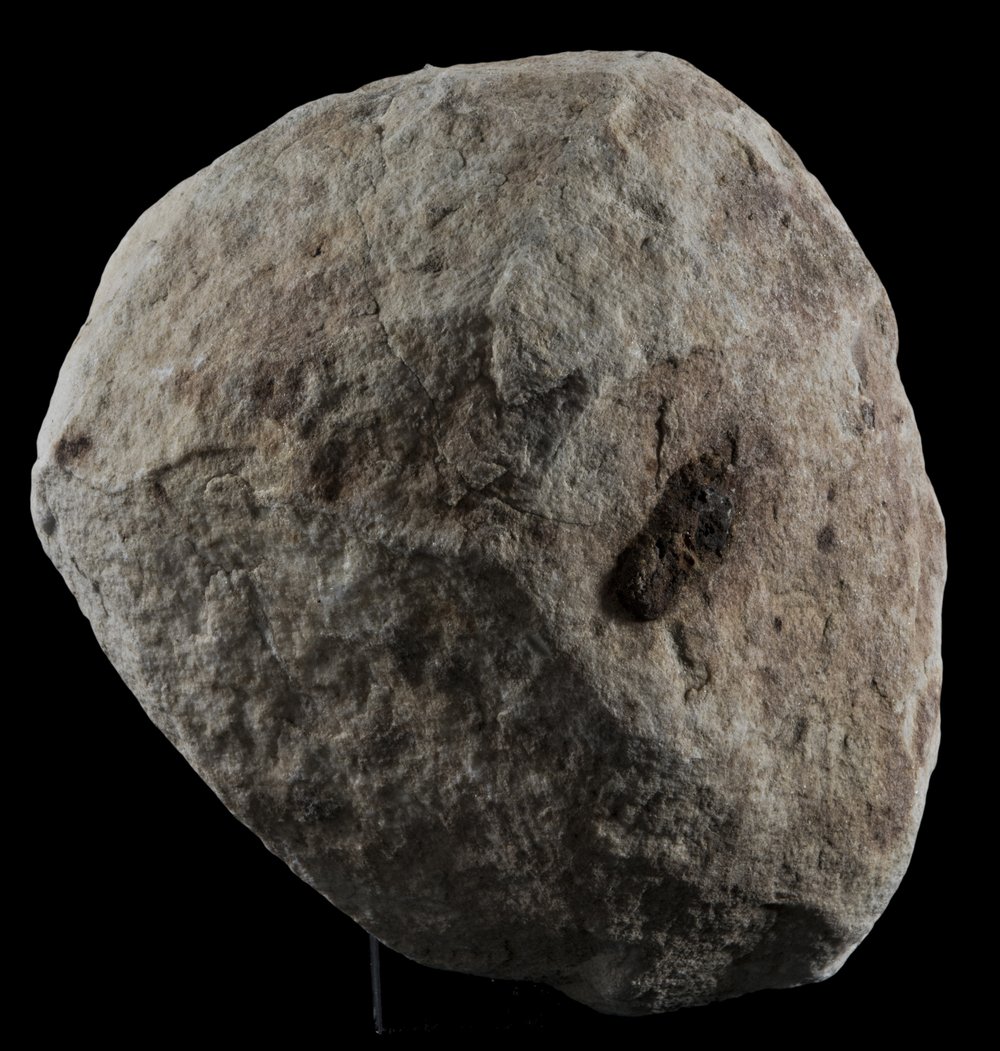 Inv 486720_06.jpg