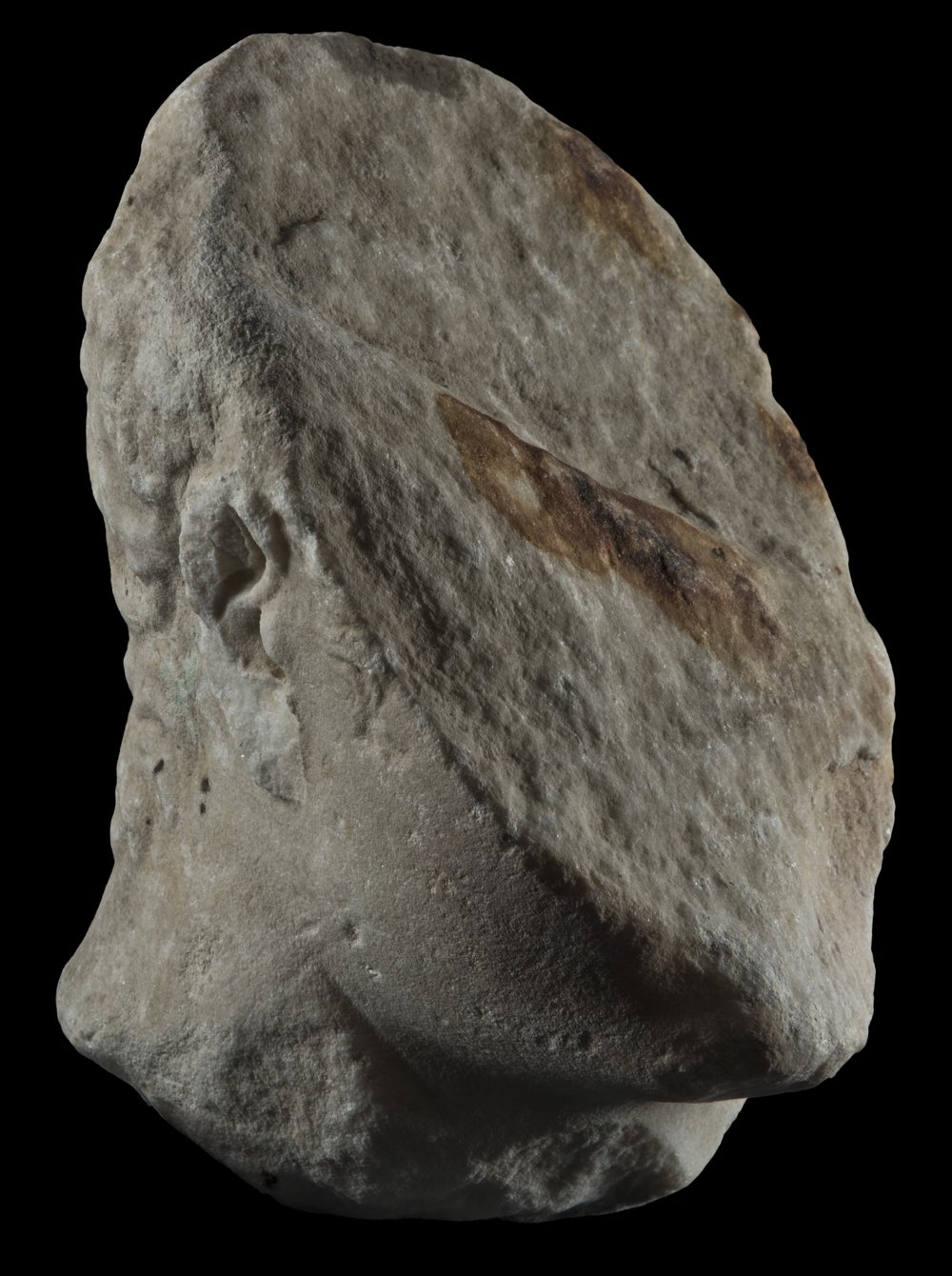 Inv 486527_06.jpg