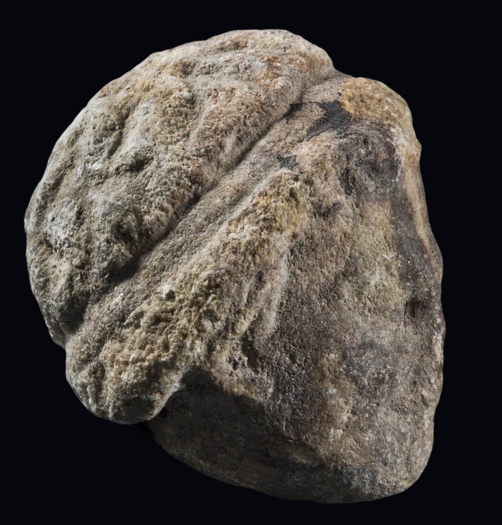 Inv 2221_02.jpg