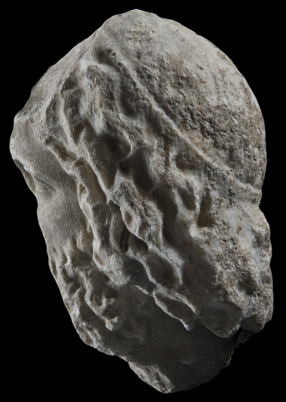 Inv 407882_02.jpg