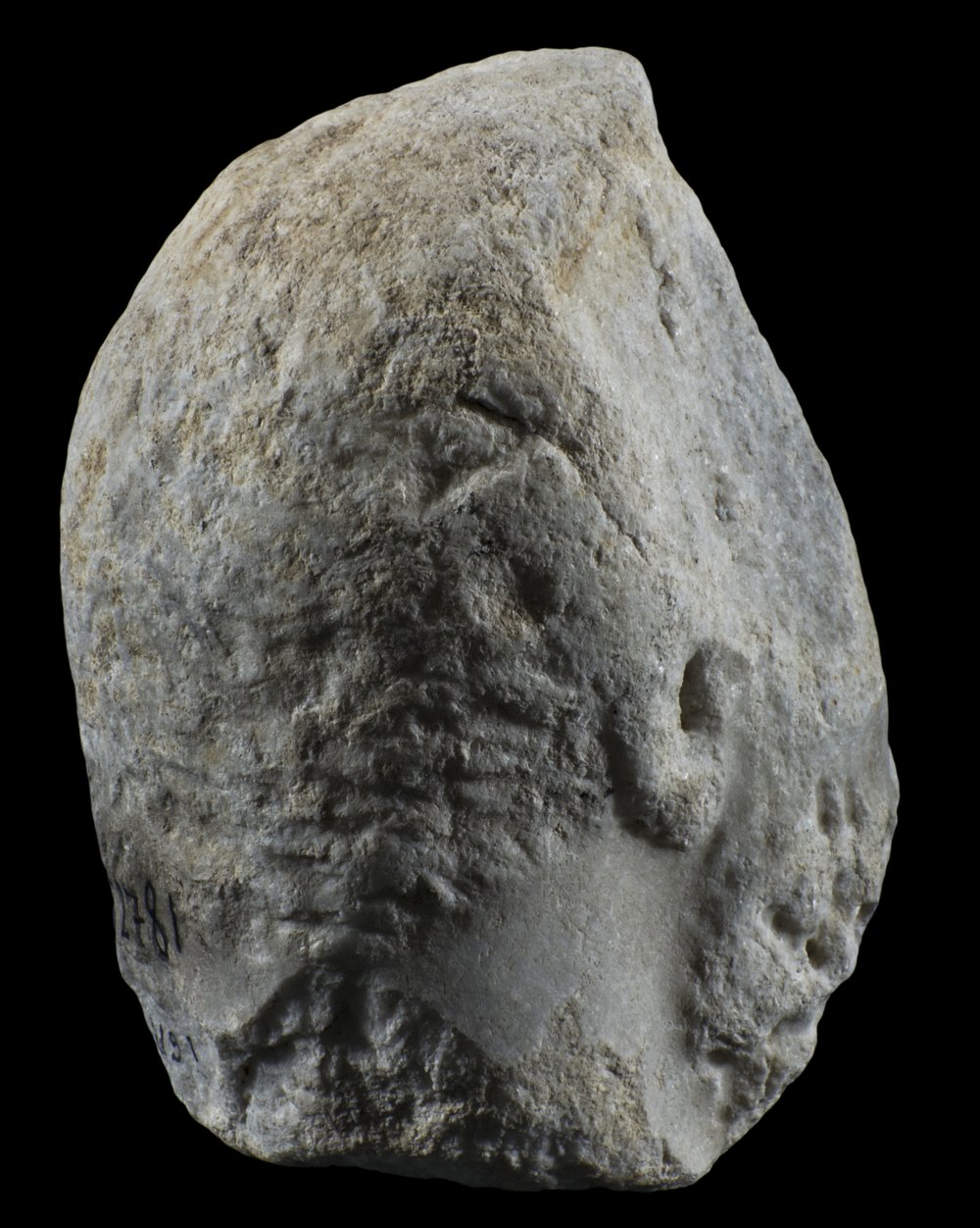 Inv 52781_03.jpg