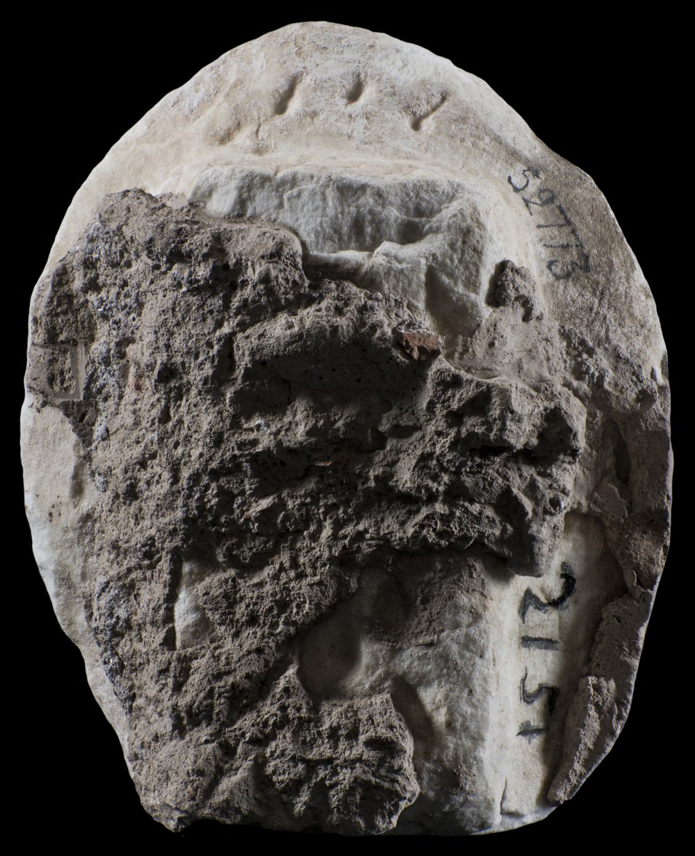 Inv 52773_03.jpg