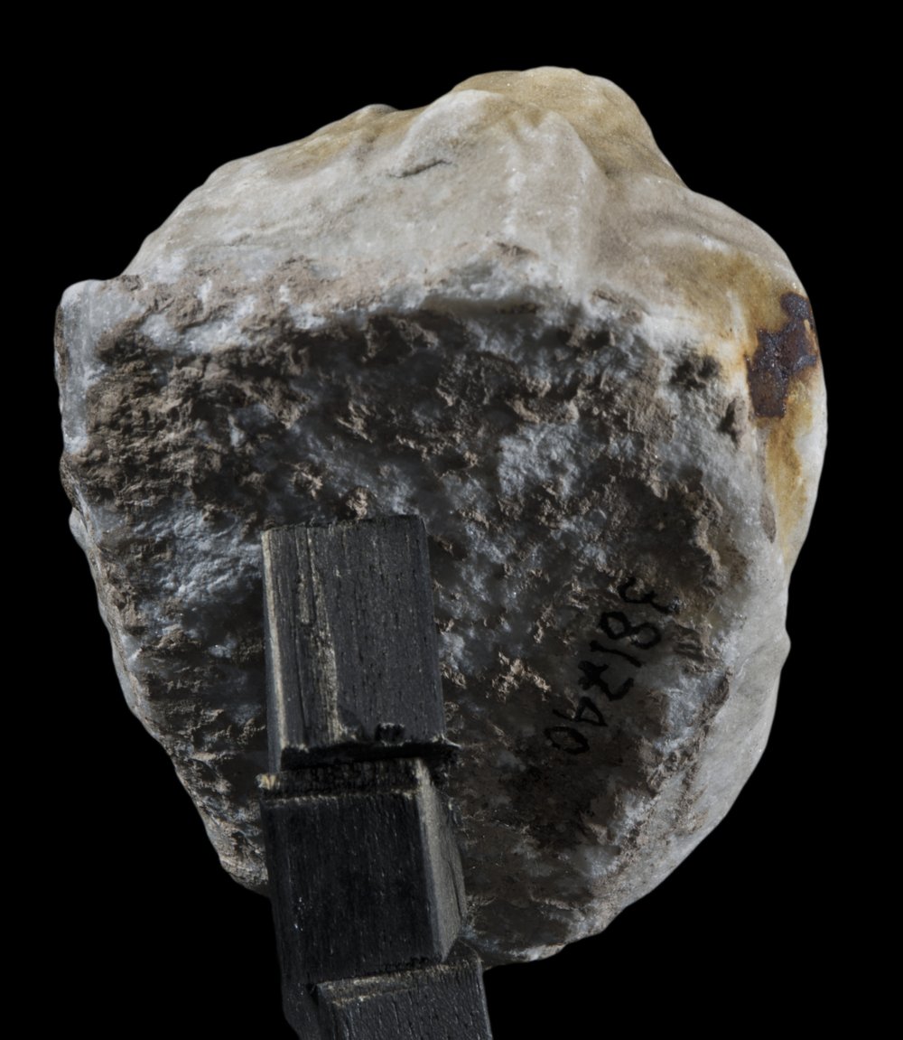 Inv 379558_04.jpg
