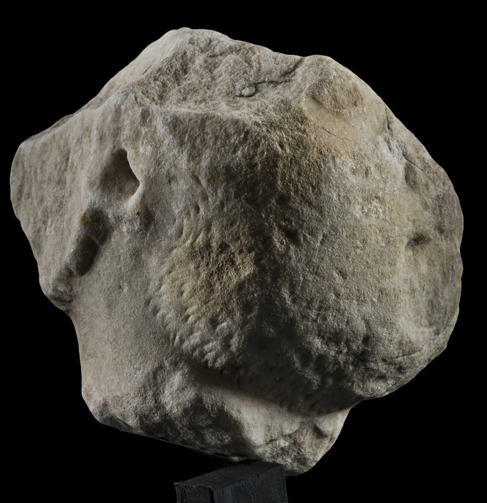 Inv 486482_02.jpg