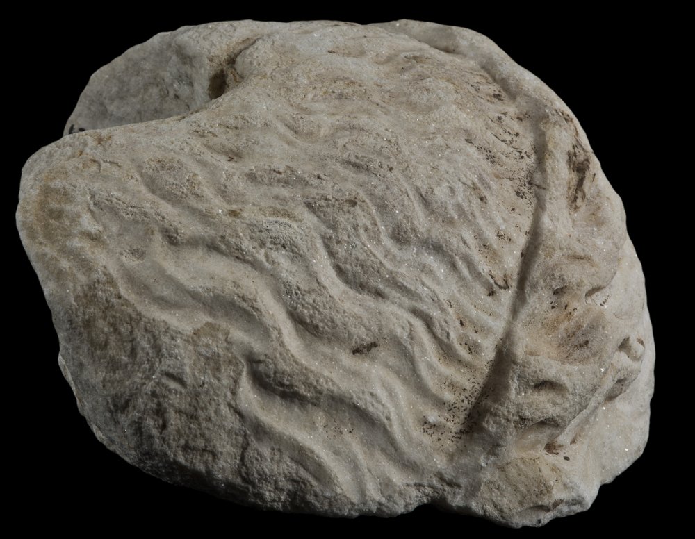 Inv 42355_03.jpg