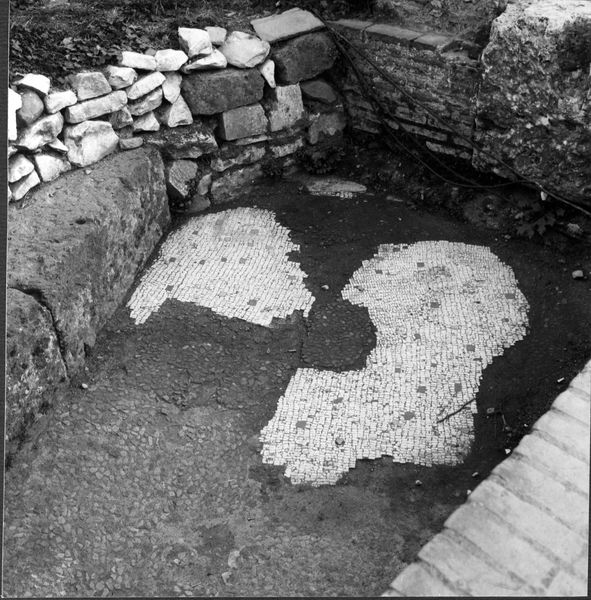012547 - monumento - Casa delle Vestali, Atrio, mosaici repubblicani sul lato nord a lato della passerella mod. (novembre '70); neg. serie 6x6, n. 1932