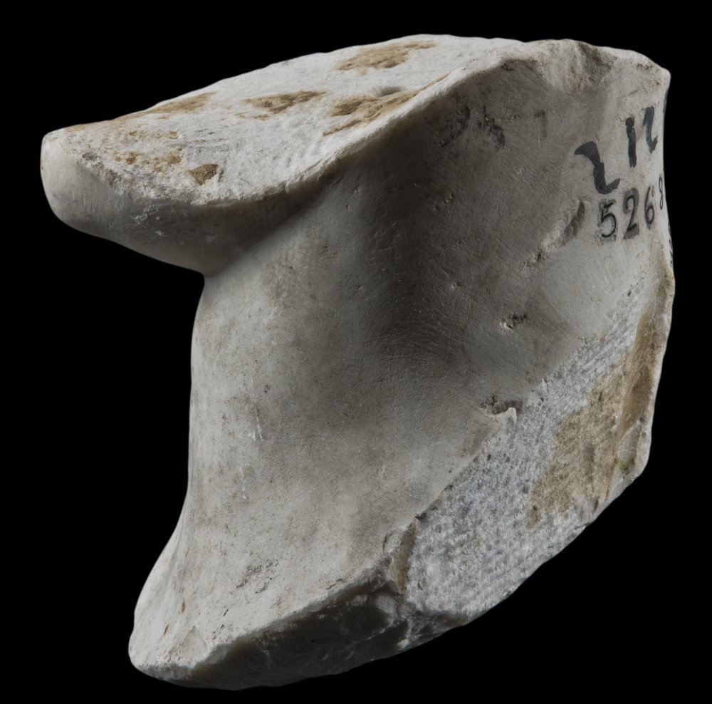 Inv 52684_3_04.jpg