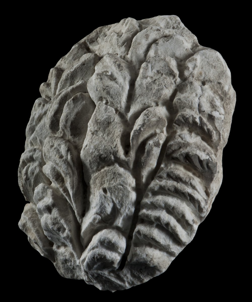 Inv 486503_02.jpg