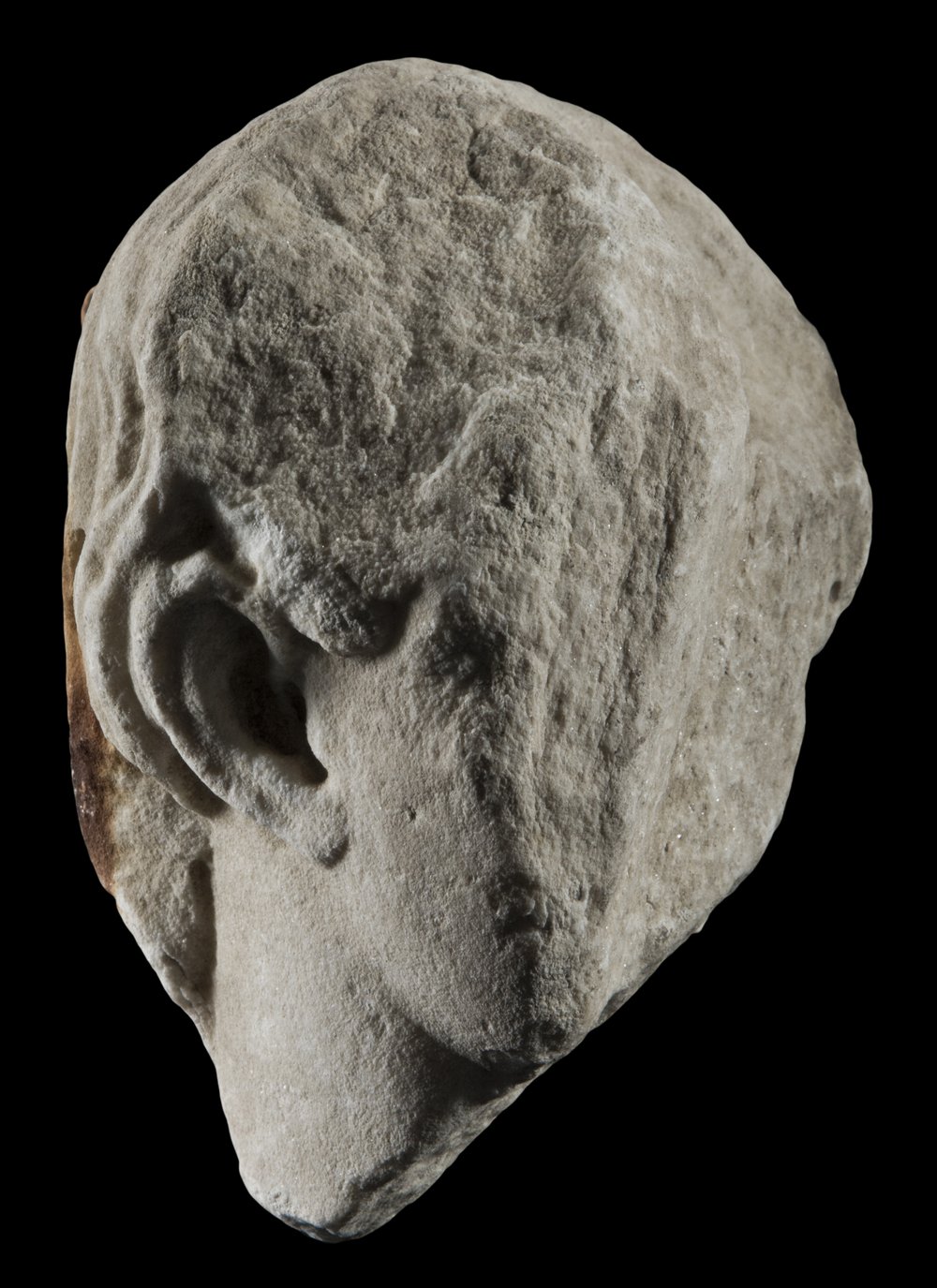 Inv 486487_01.jpg