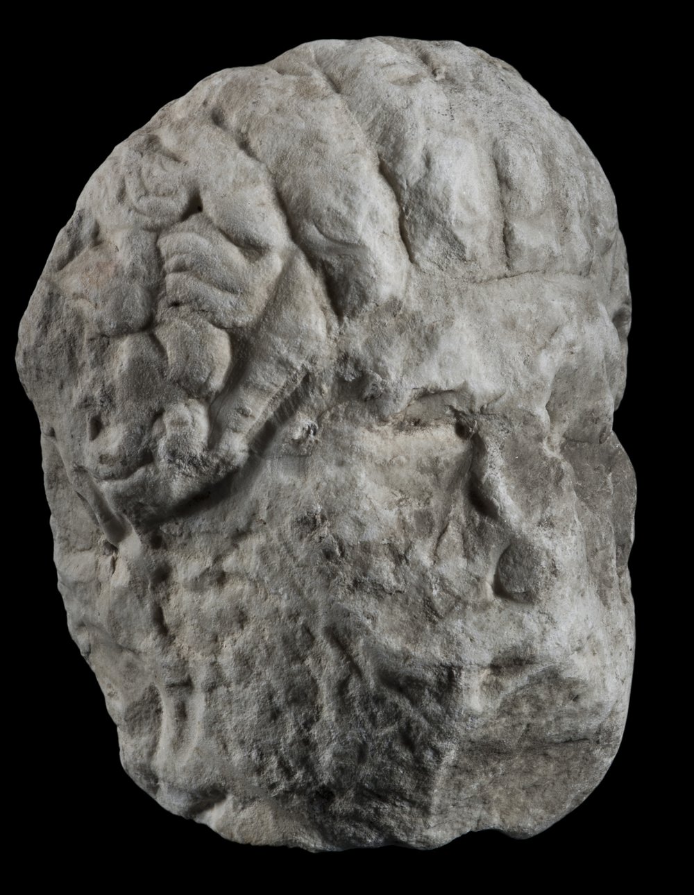 Inv 486519_03.jpg