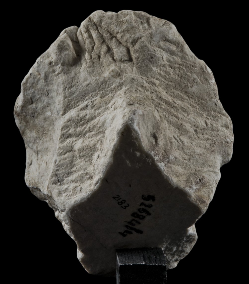 Inv 52684_4_03.jpg