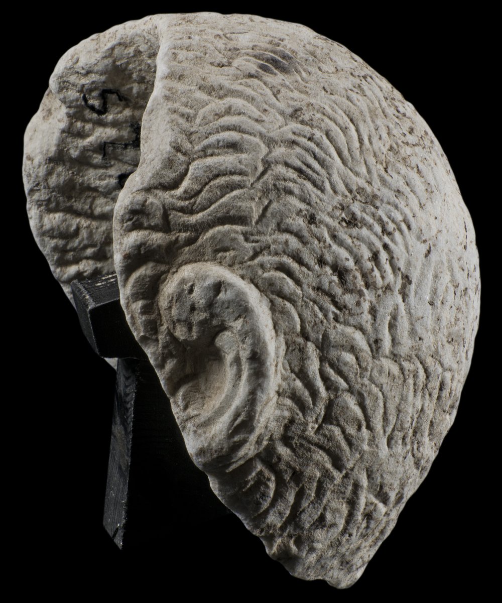 Inv 52680_01.jpg