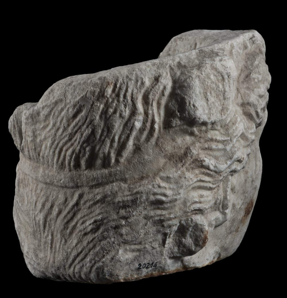 Inv 486520_07.jpg