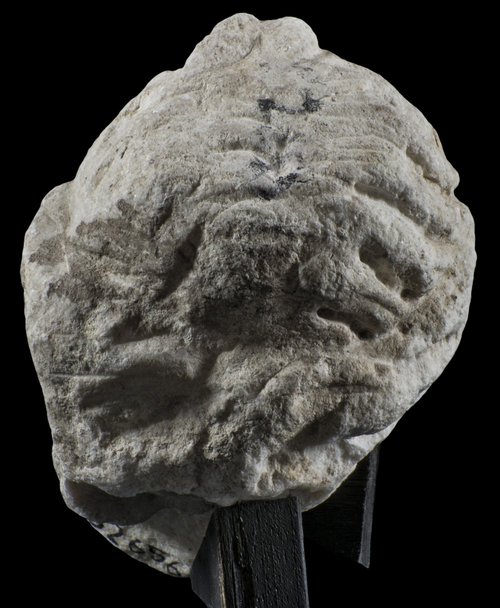 Inv 52656_04.jpg