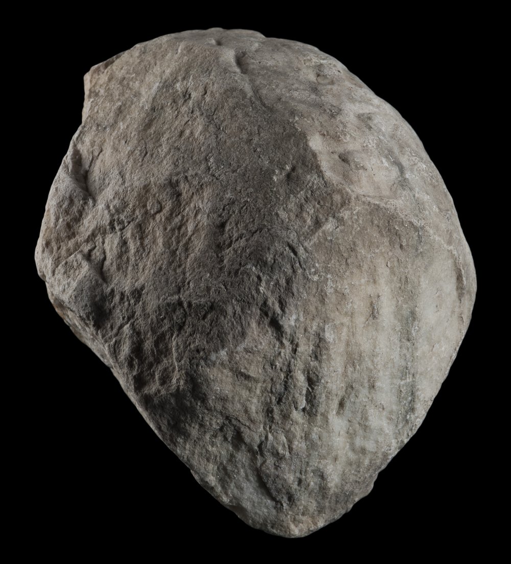 Inv 486509_03.jpg