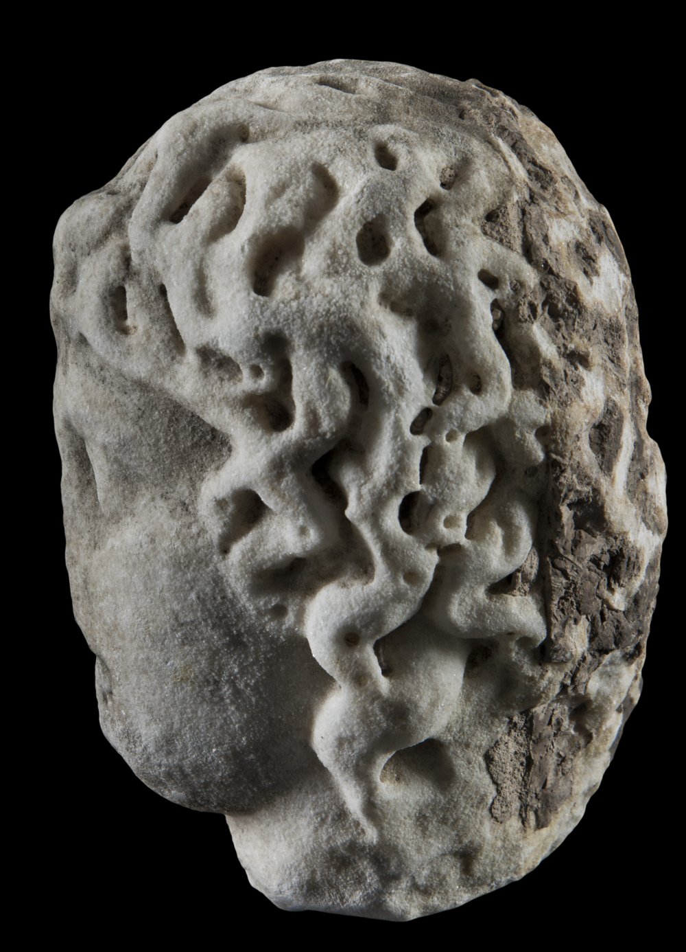 Inv 373621_05.jpg