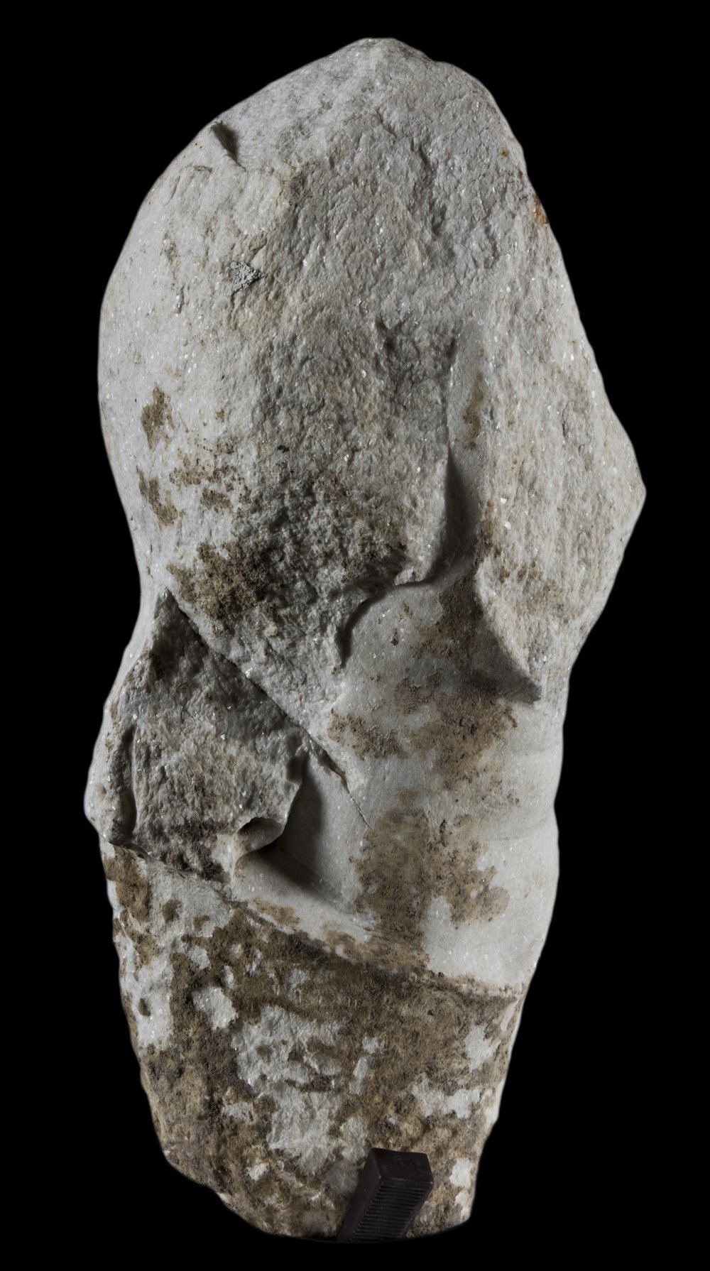 Inv 381587_01.jpg