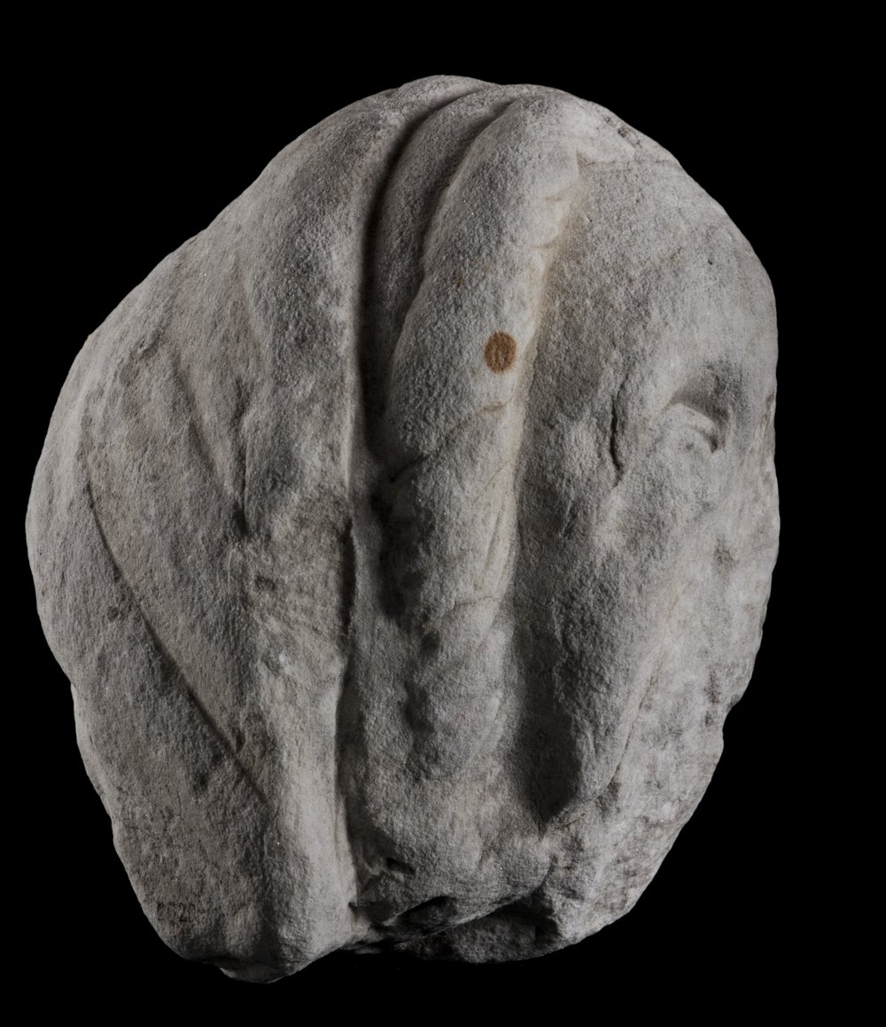 Inv 486515_02.jpg
