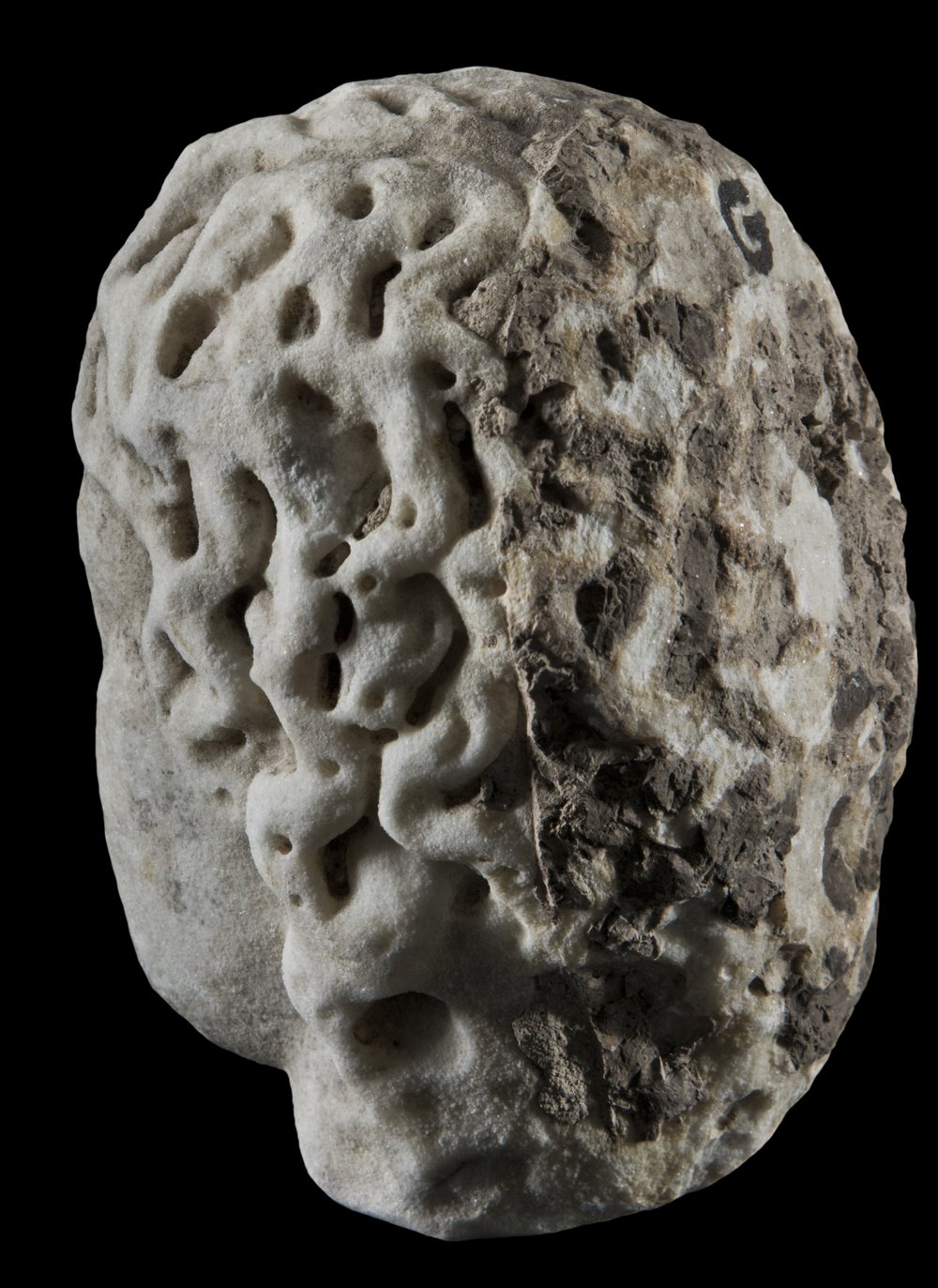 Inv 373621_04.jpg