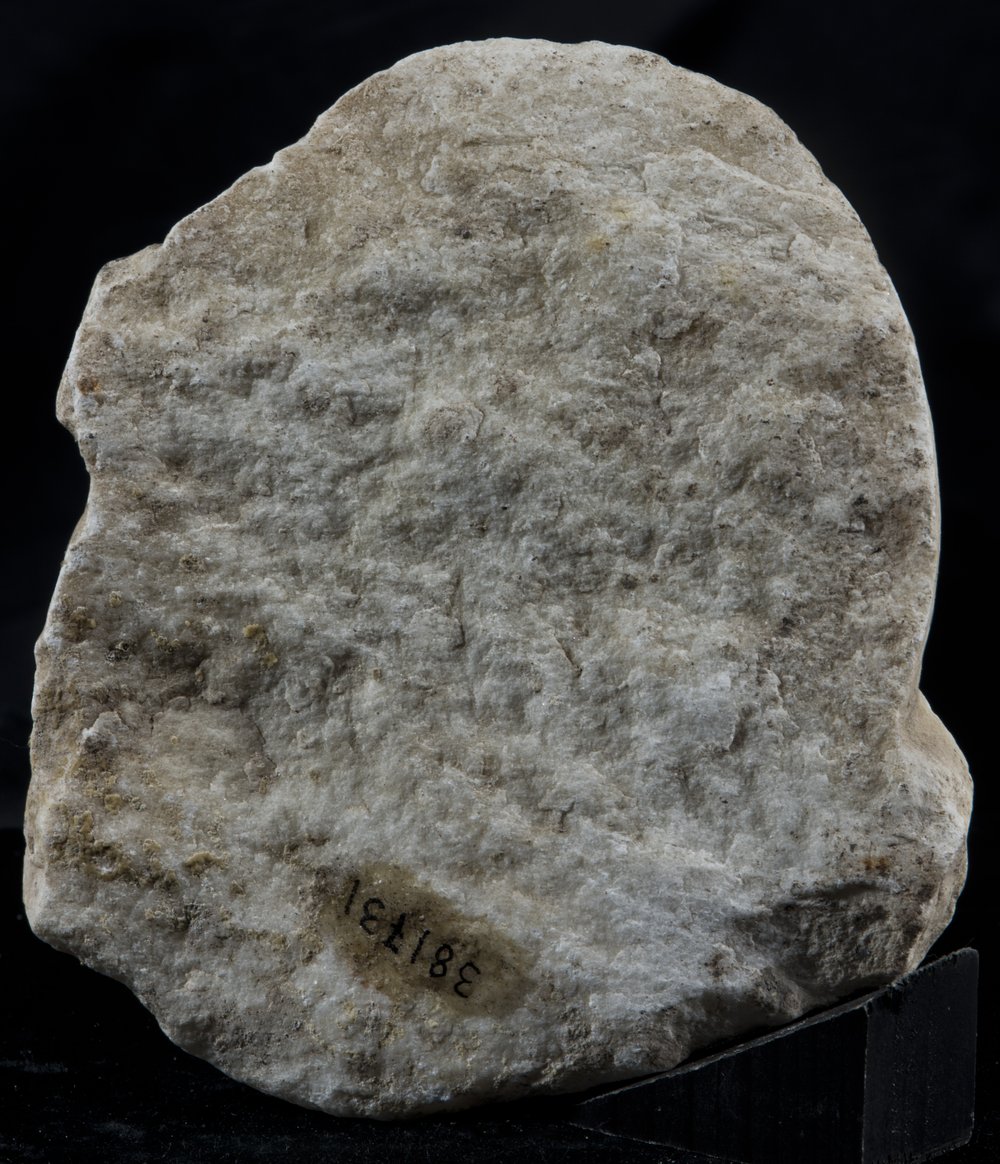 Inv 381731_05.jpg