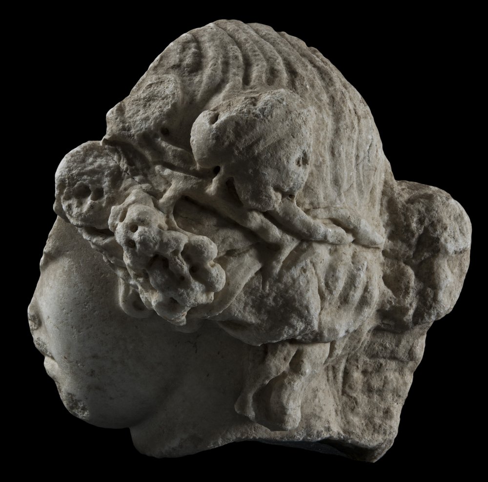 Inv 487014_08.jpg