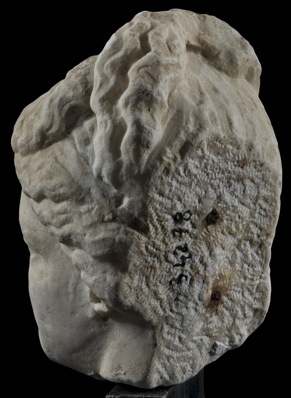 Inv 34278_05.jpg