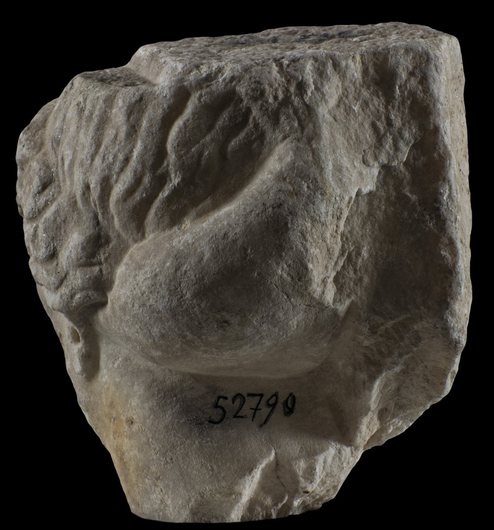 Inv 52790_04.jpg