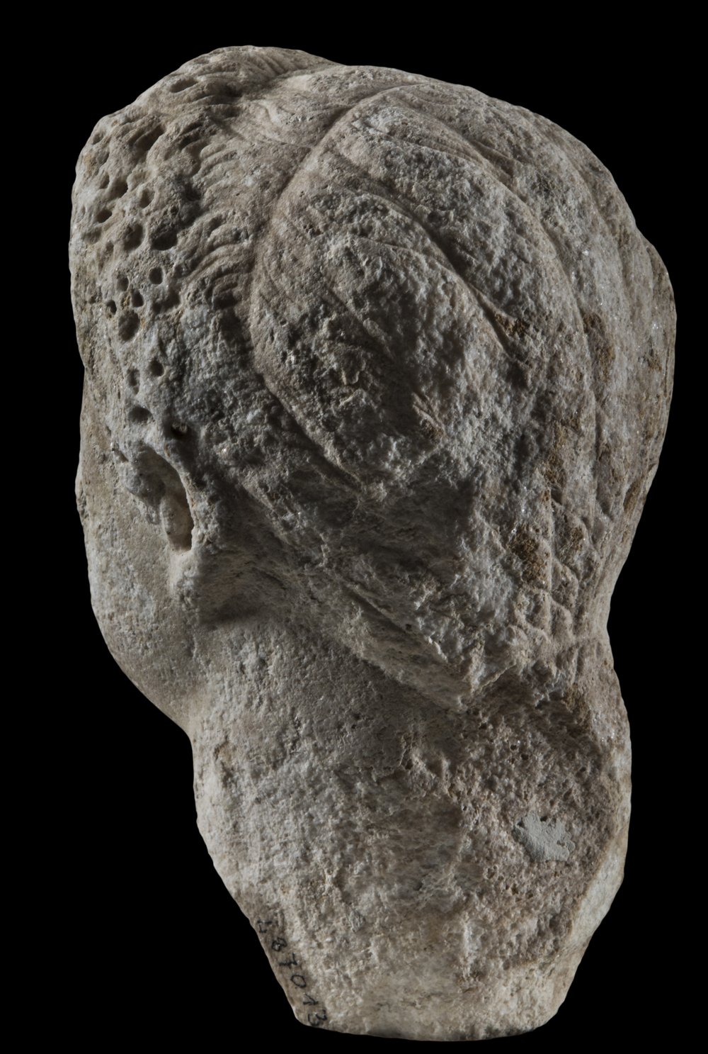 Inv 487013_07.jpg