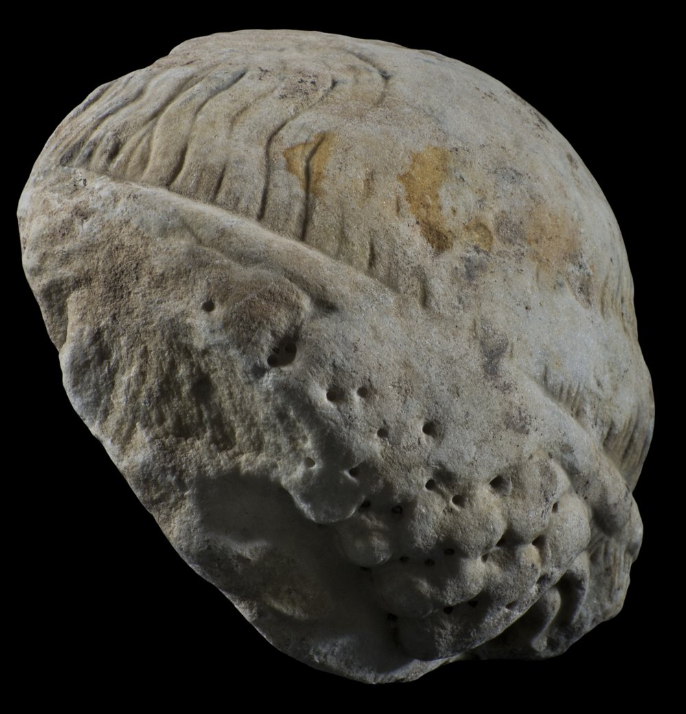 Inv 52792_2_01.jpg