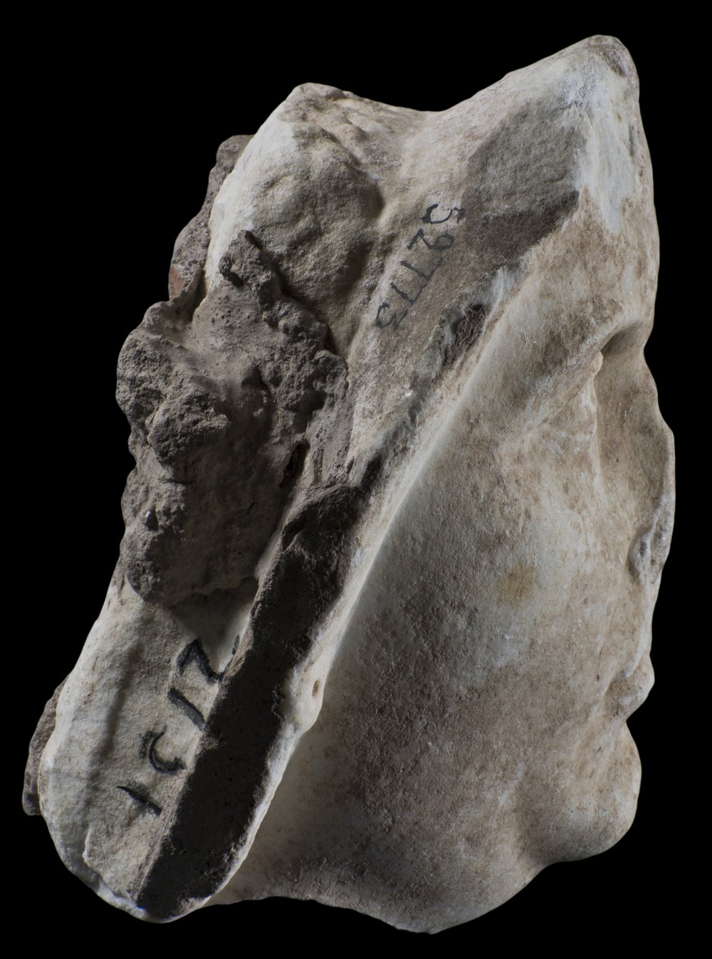 Inv 52773_02.jpg