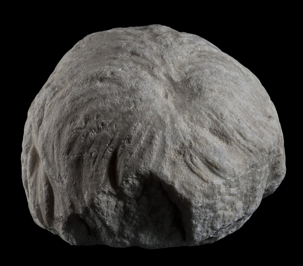 Inv 486518_04.jpg